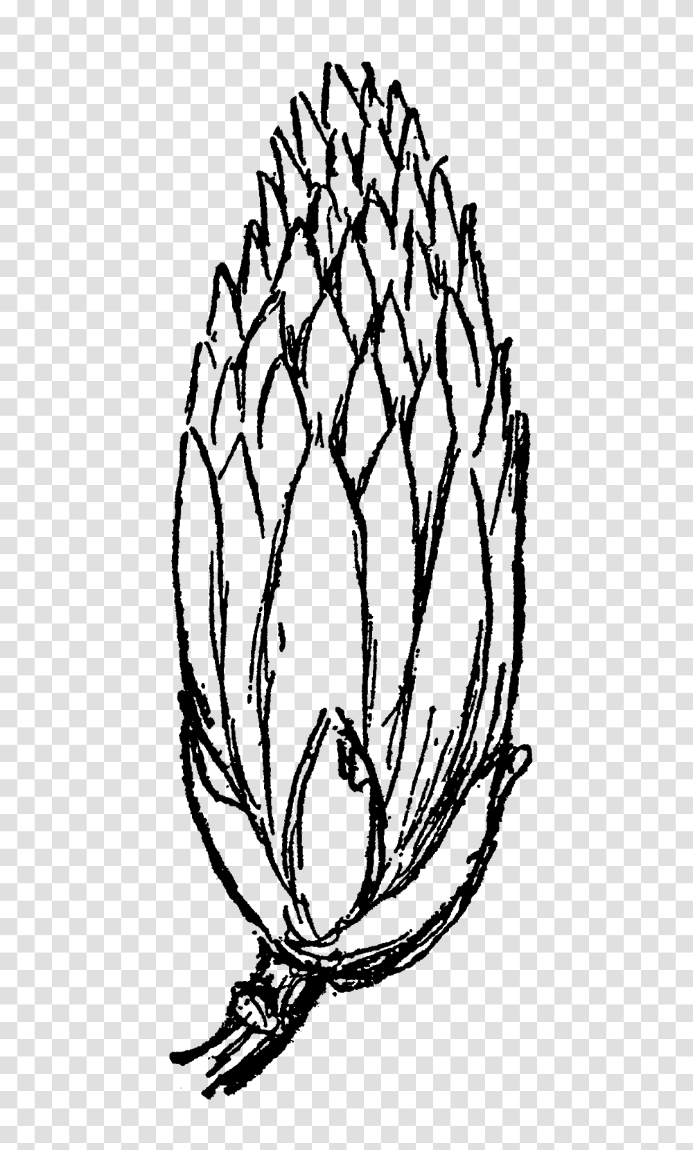 The Graphics Monarch Royalty Free Flower Clipart Downloads, Gray, World Of Warcraft Transparent Png