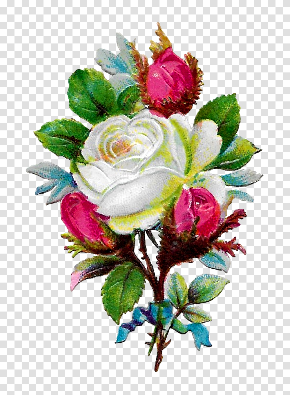 The Graphics Monarch Shabby Chic White Rose Clip Art Flower Craft, Plant, Blossom, Flower Bouquet, Flower Arrangement Transparent Png