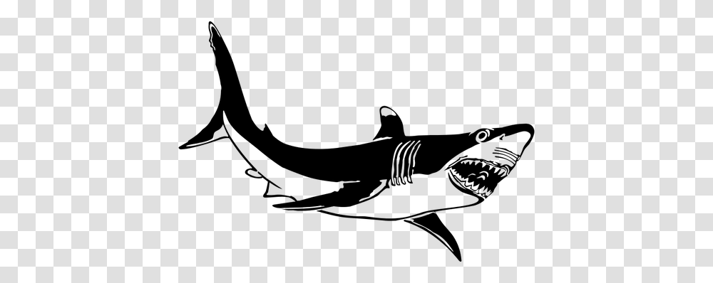 The Great White Shark Vector Drawing, Gray, World Of Warcraft Transparent Png
