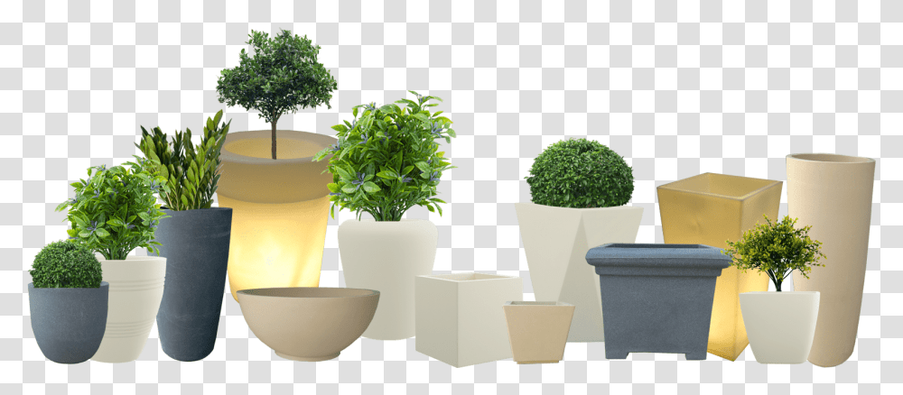 The Greatest Preferred Standpoint Of A Planter Would Fox Flower Pot Yuccabe Italia Hd, Potted Plant, Vase, Jar, Pottery Transparent Png