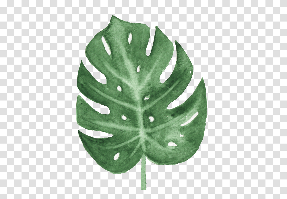 The Green Banana Leaf Watercolor Buckle Watercolor Leaf, Plant, Droplet, Fern, Veins Transparent Png