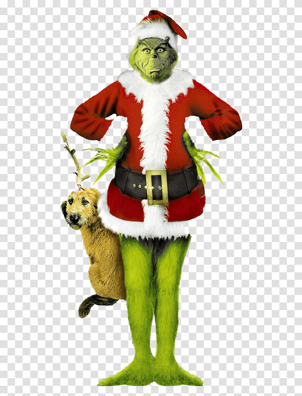 The Grinch Background Arts Grinch Jim Carrey, Costume, Person, Mascot, Clothing Transparent Png