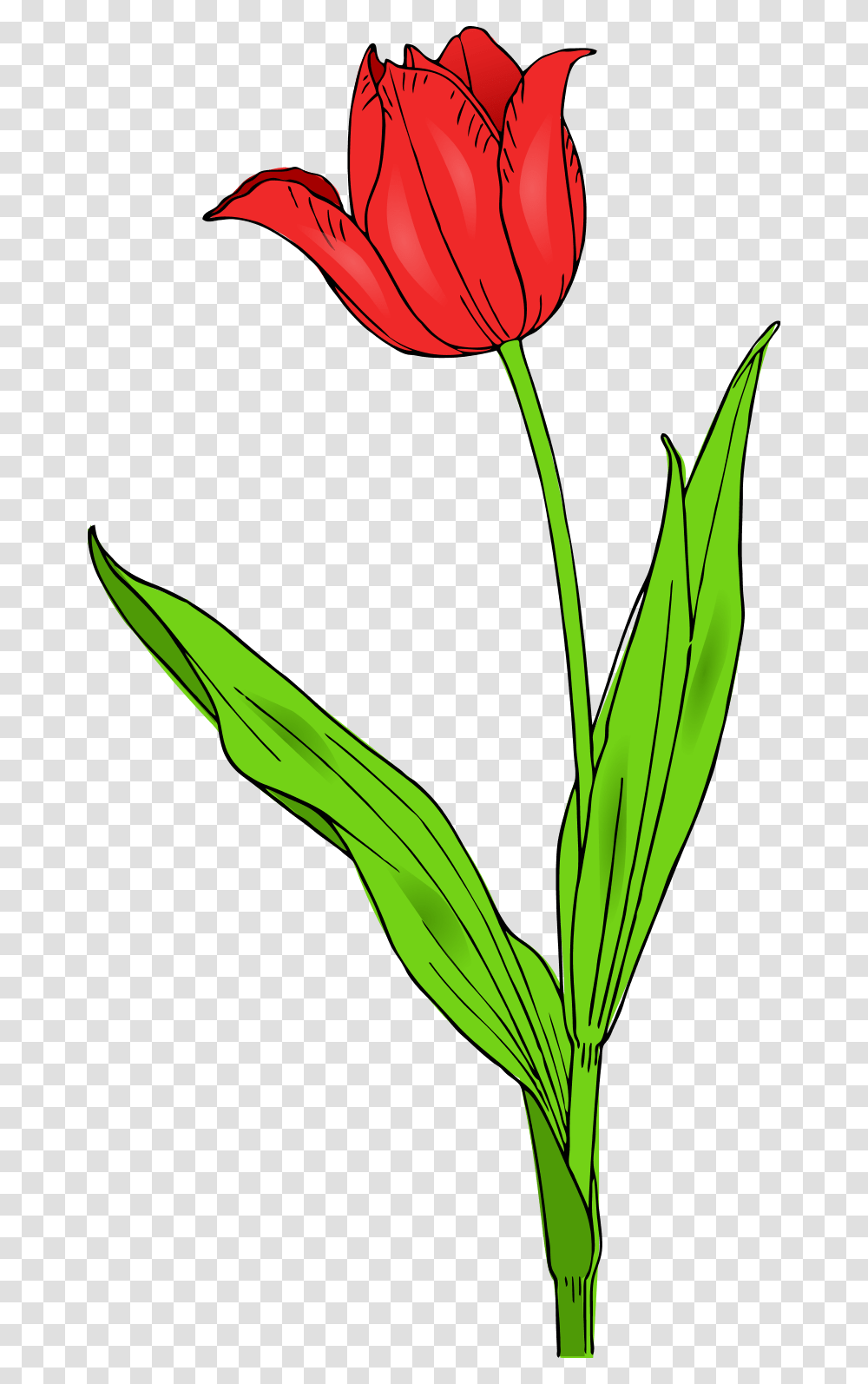The Grinch Clip Art, Plant, Flower, Blossom, Petal Transparent Png