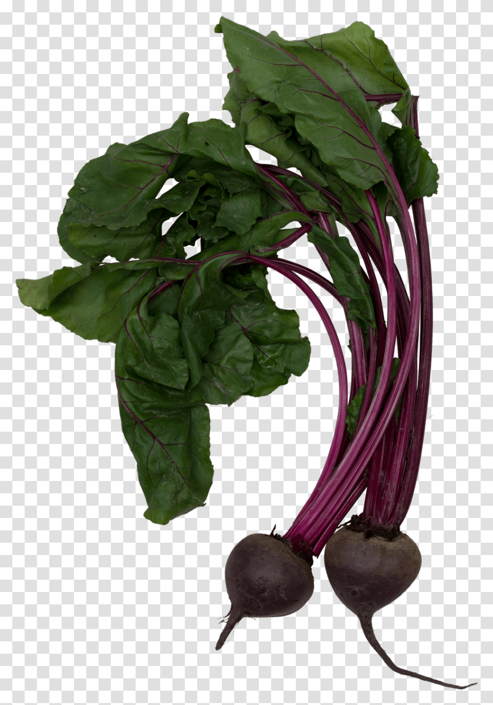 The Grove Juice Truck Beet Greens, Plant, Vegetable, Food, Produce Transparent Png