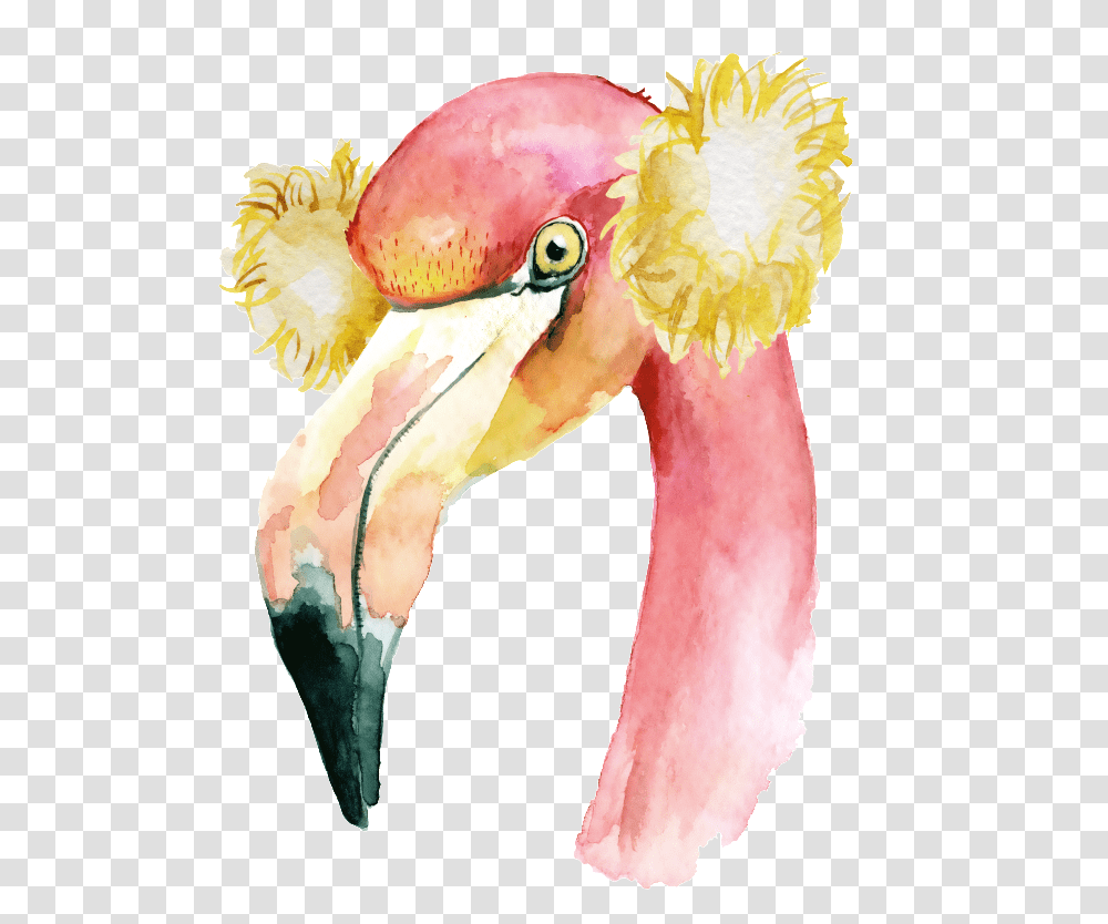 The Hand Painted Flamingo Material, Beak, Bird, Animal, Pelican Transparent Png