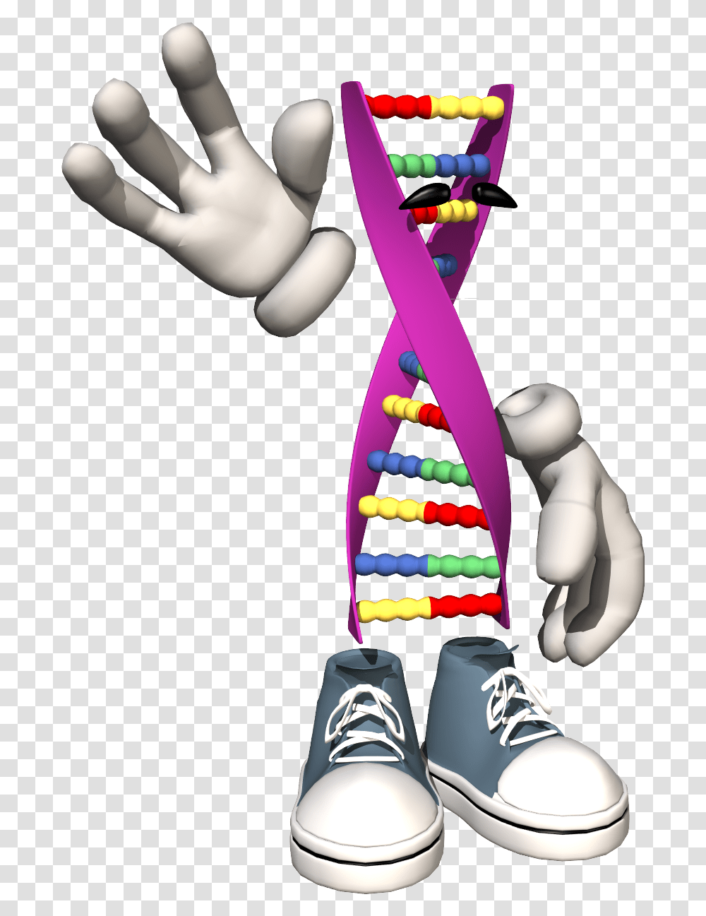 The Hardy Weinberg Equation Nice Genes, Apparel, Shoe, Footwear Transparent Png