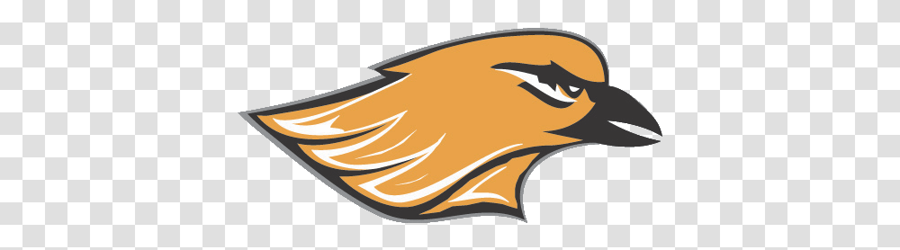 The Hartford Orioles Hartford Union High School Football, Animal, Label, Text, Gold Transparent Png