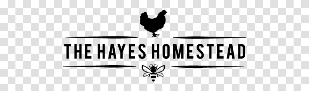 The Hayes Homestead Rooster, Gray, World Of Warcraft Transparent Png