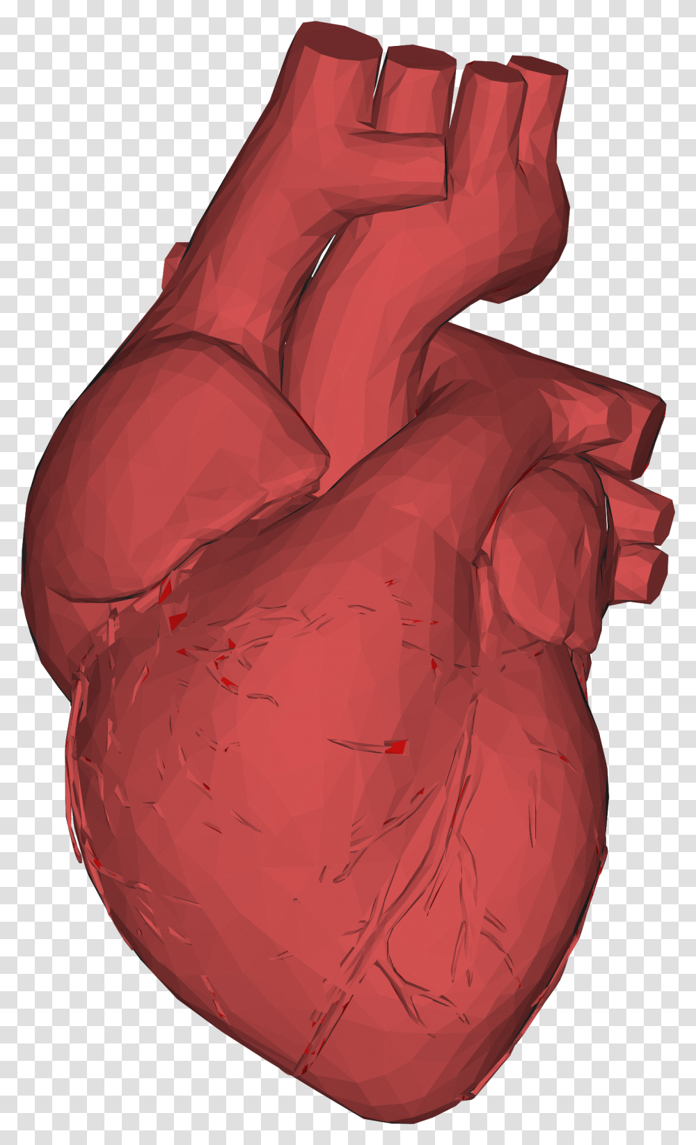 The Heart Of Matter Single Steps Learning Project Background Anatomical Heart, Hand, Wrist, Fist, Finger Transparent Png