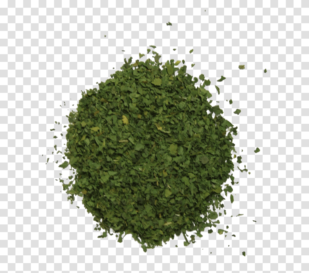 The Herb Shop Chromium Oxide Green Pigments, Moss, Plant, Tree, Pineapple Transparent Png