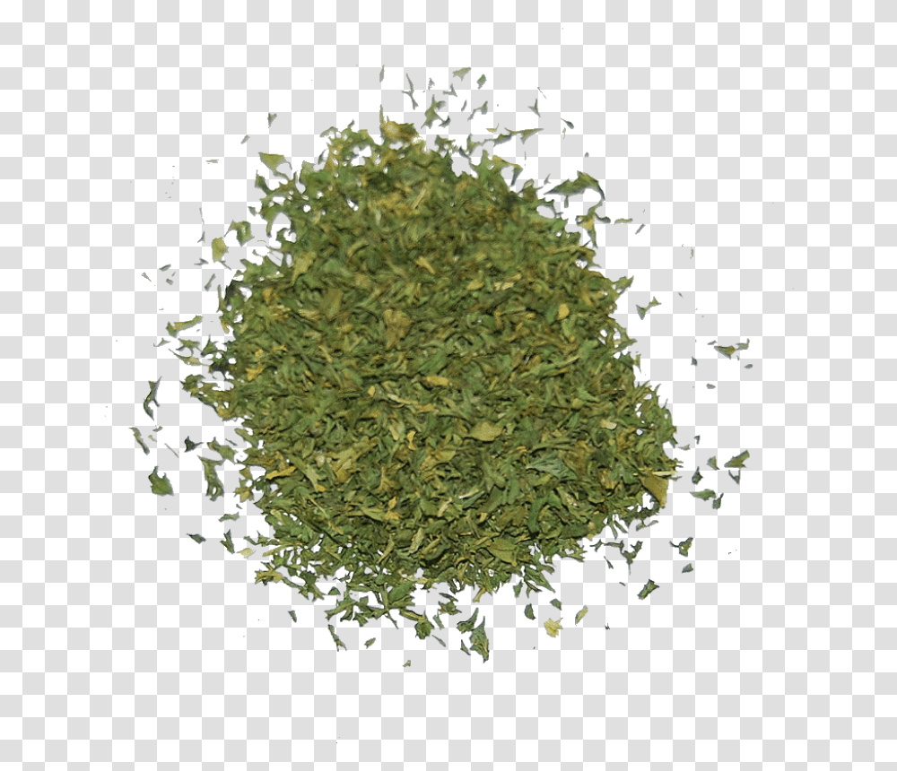 The Herb Shop Game Two Blunts 420 Ft Wiz Khalifa, Plant, Tree, Moss Transparent Png