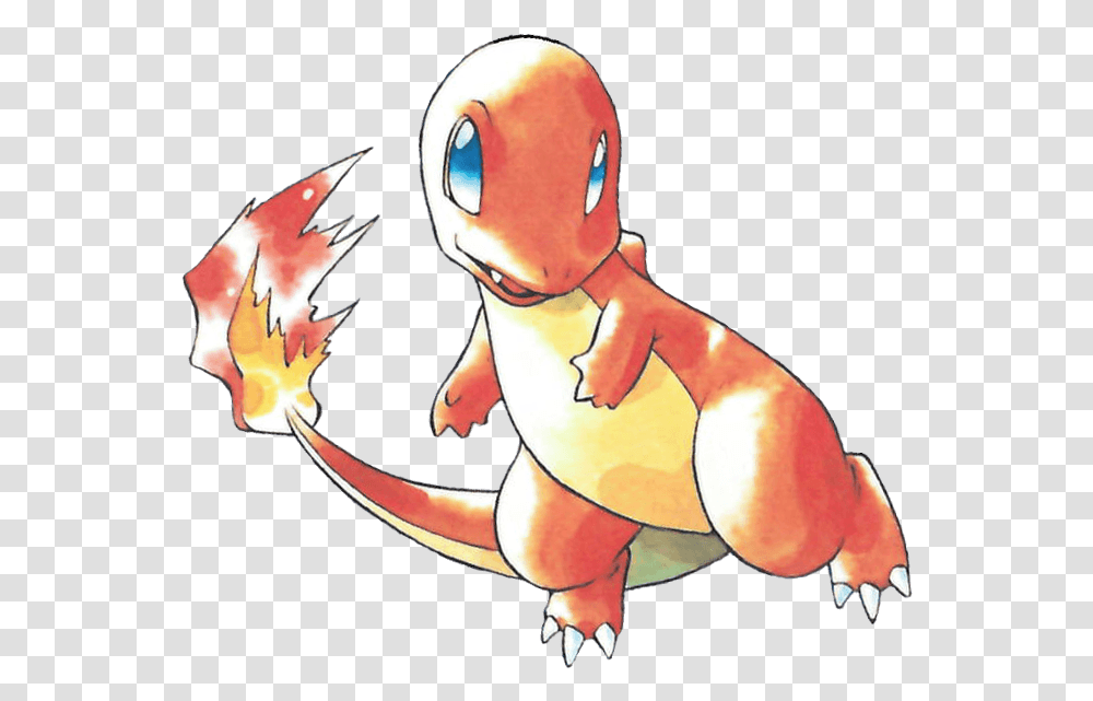 The Hidden Meaning Of Charizard Pokmon's Fan Favourite Charmander Artwork, Person, Human, Animal Transparent Png