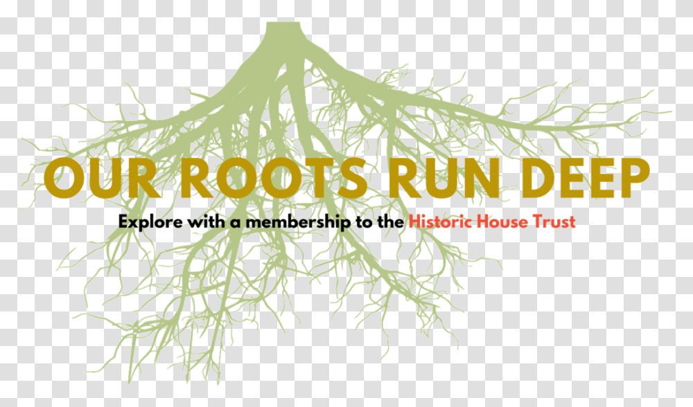 The Historic House Trust Roots Cartoon, Text, Plant Transparent Png