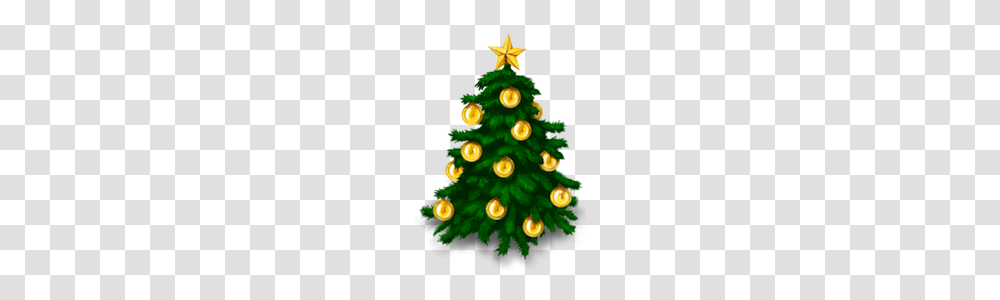 The History Of Christmas Trees, Plant, Ornament Transparent Png