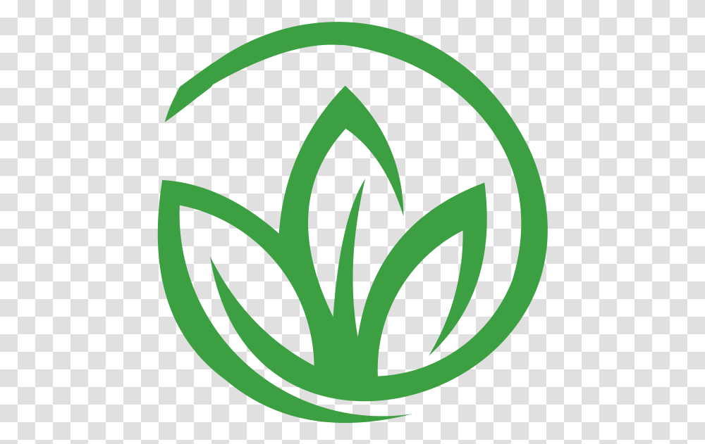 The History Of Medical Marijuana In Lauderhill Highlife Marijuana, Plant, Logo, Trademark Transparent Png