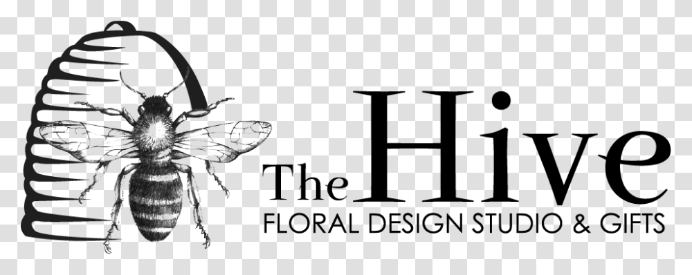 The Hive Floral Design Studio Amp Gifts Hornet, Spider, Animal, Utility Pole Transparent Png