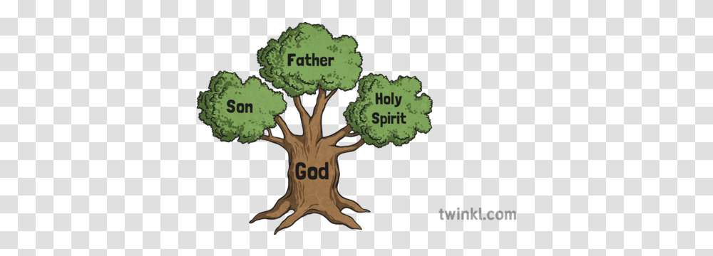 The Holy Trinity Tree Illustration Twinkl Father Son Holy Spirit Tree, Plant, Vegetation, Text, Animal Transparent Png