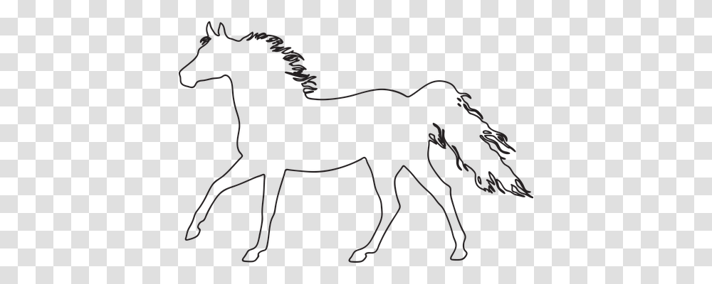 The Horse Animals, Mammal, Impala, Antelope Transparent Png