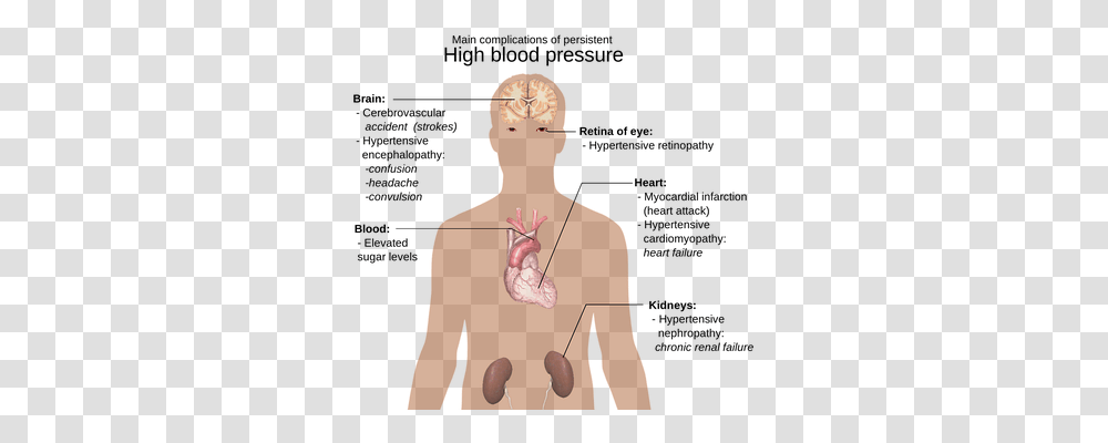 The Human Body Technology, Head, Arm, Person Transparent Png