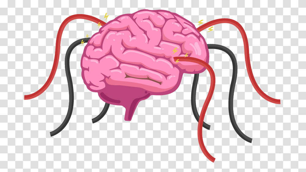 The Human Brain Is A Hive Of Electrical Activity With Parts Of The Brain Grade, Hand Transparent Png