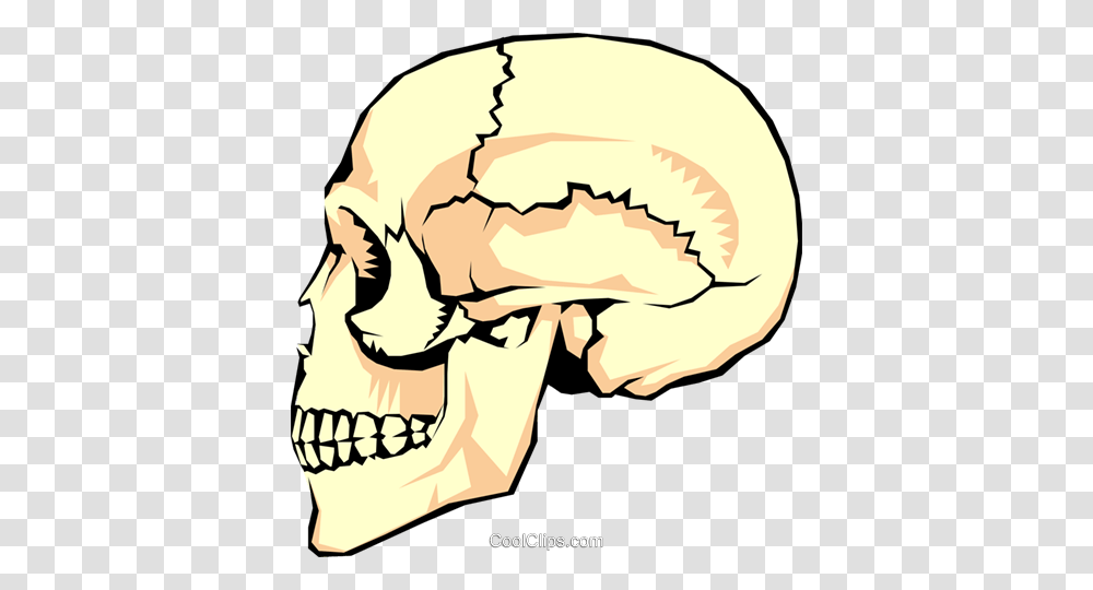 The Human Skull Royalty Free Vector Clip Art Illustration, Jaw, Teeth, Mouth, Head Transparent Png