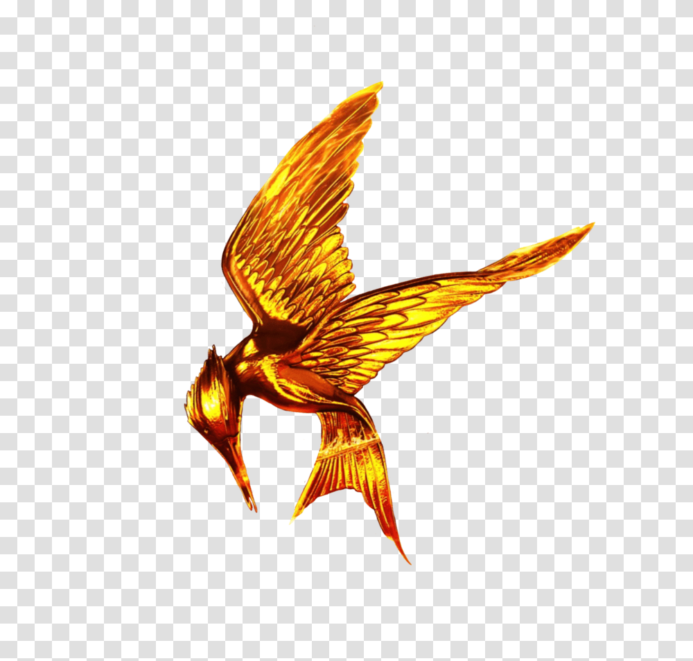 The Hunger Games Free Download, Bird, Ornament, Statue Transparent Png