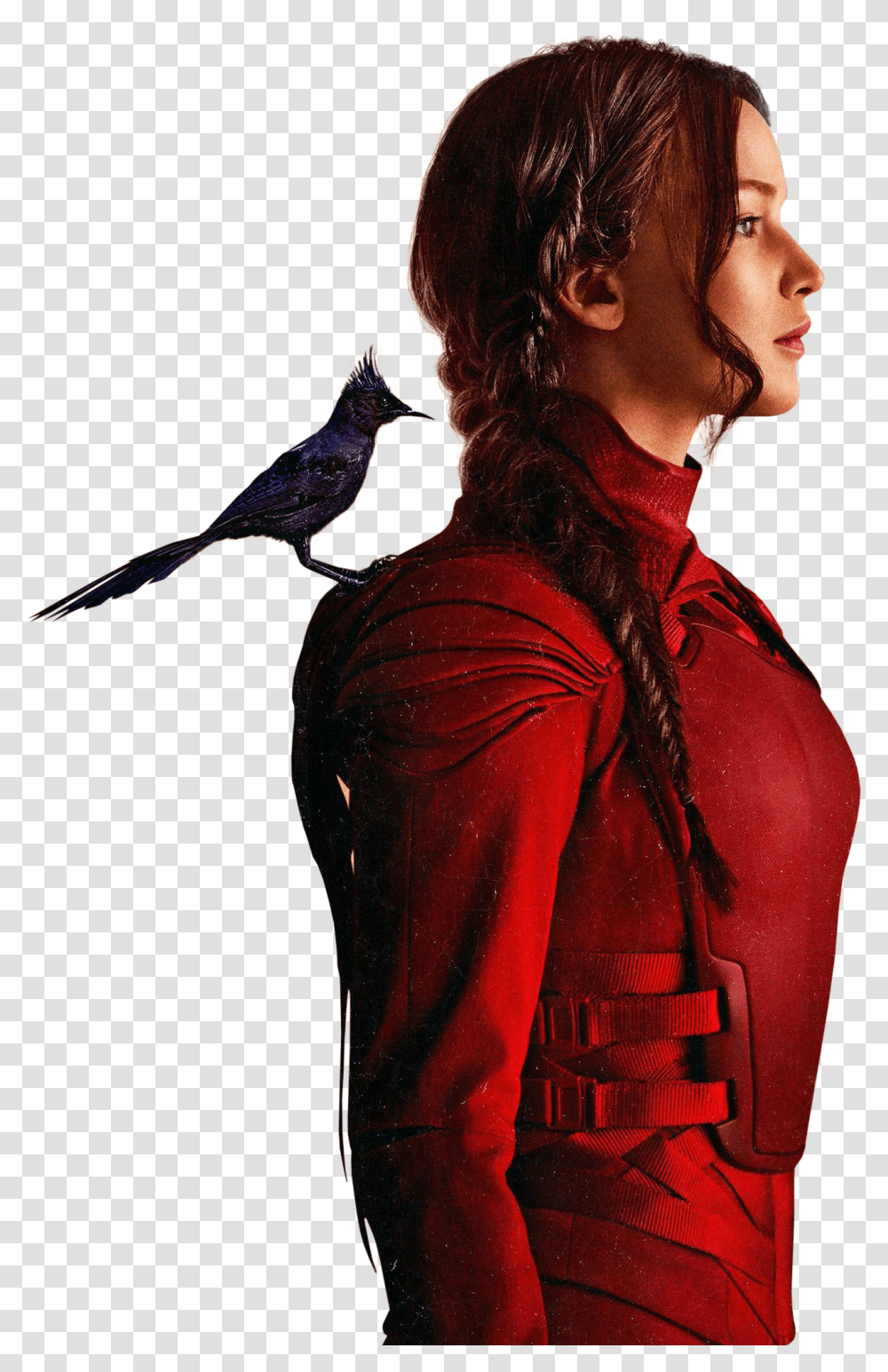 The Hunger Games Hunger Games Katniss, Bird, Animal, Person Transparent Png