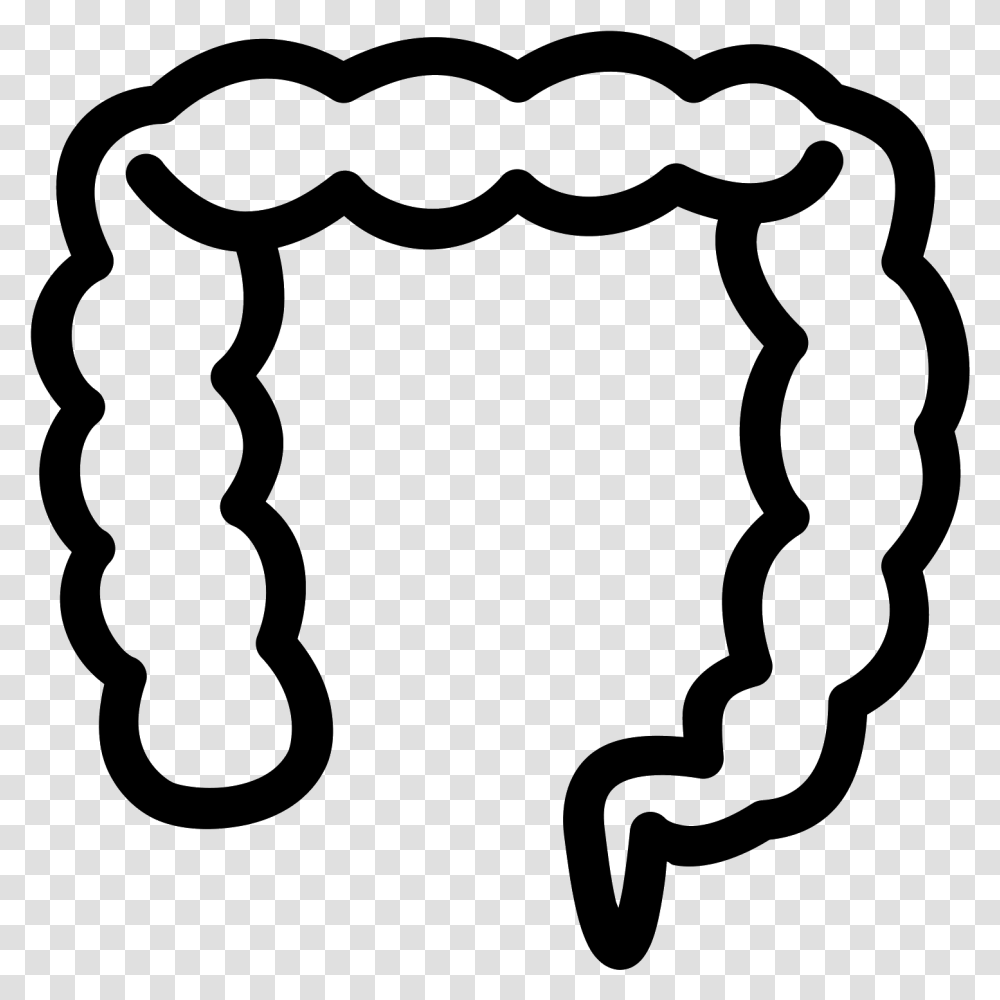 The Image Looks Like A Long Deflated Balloon That Is Large Intestine, Gray, World Of Warcraft Transparent Png