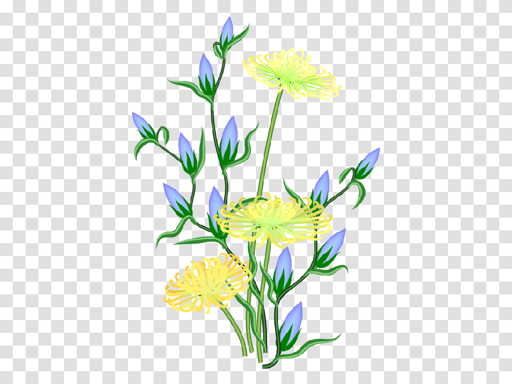 The Images Wallpaper, Plant, Flower, Pollen, Petal Transparent Png