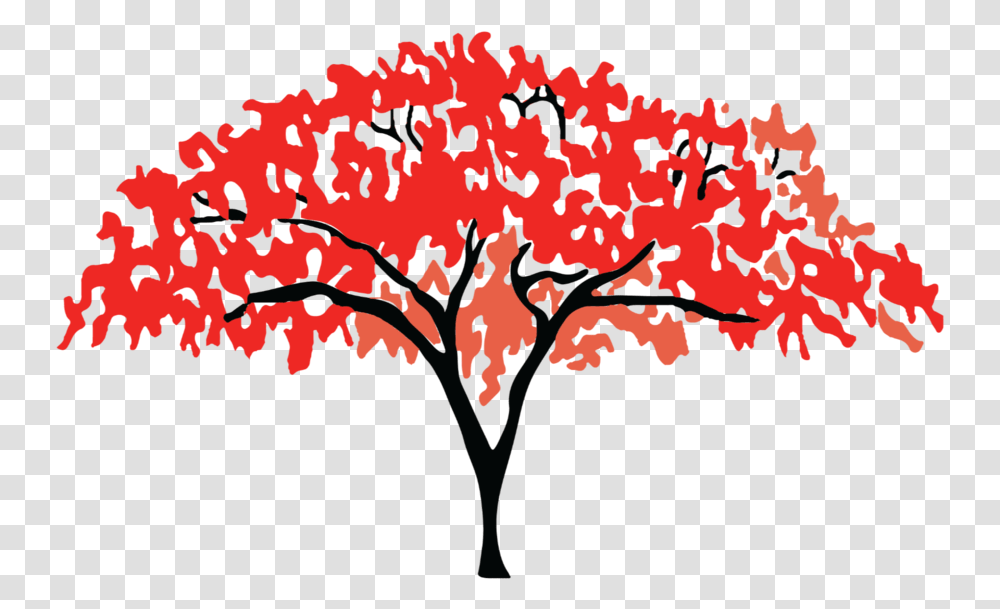 The Importance Of Impact - Flame Tree Initiative Red, Plant, Tabletop, Art, Pattern Transparent Png