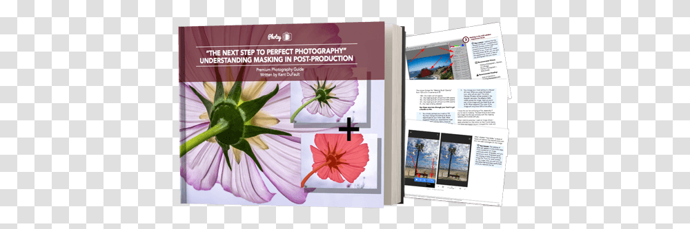 The Important Difference Between A Reveal All And Hide Passion Flowers, Poster, Advertisement, Plant, Flyer Transparent Png