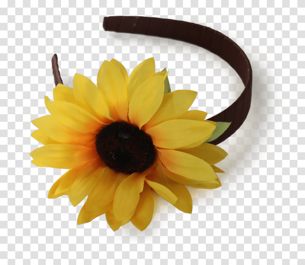The Jordyn Rene Headband, Plant, Flower, Blossom, Honey Bee Transparent Png