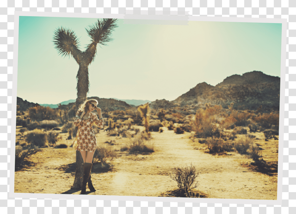 The Joshua Tree Shrubland, Clothing, Apparel, Person, Human Transparent Png