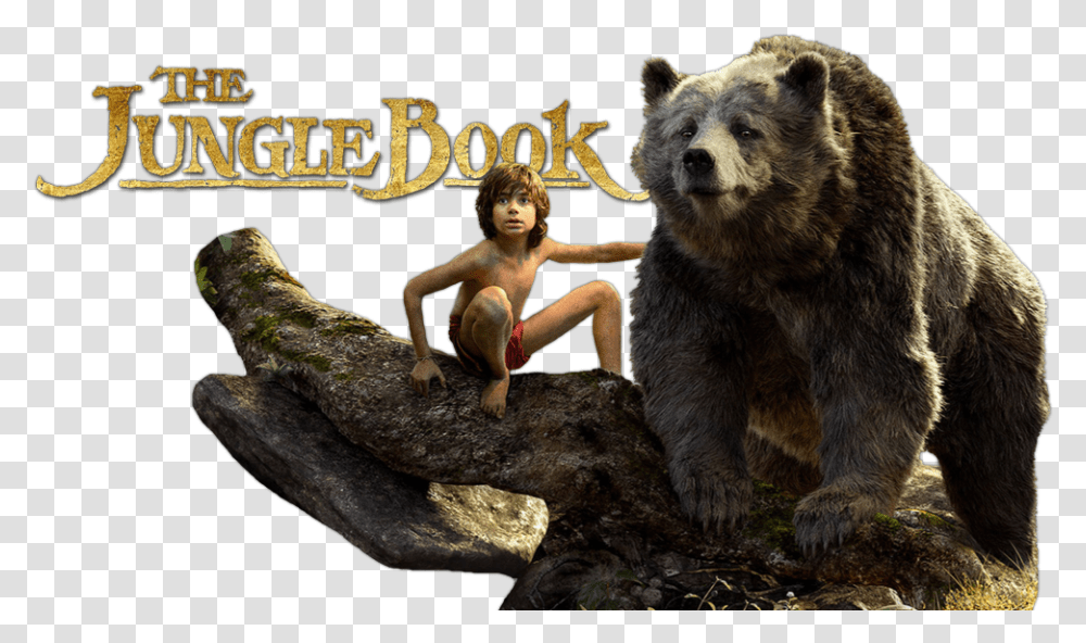 The Jungle Book File Jungle Book 2016 Baloo, Bear, Wildlife, Mammal, Animal Transparent Png