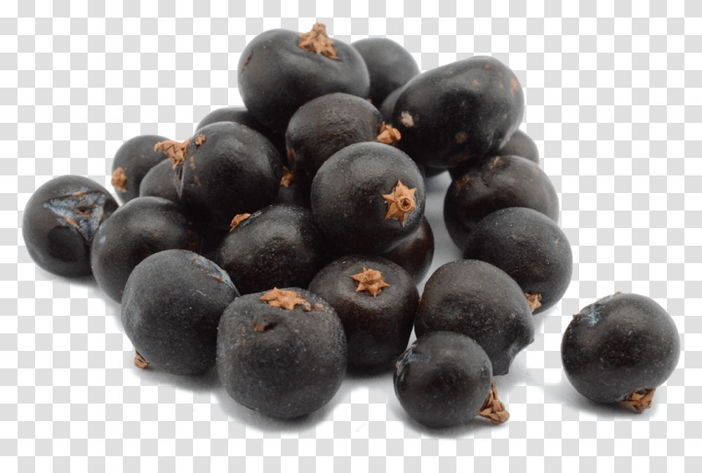 The Juniper Dilemma Bilberry, Plant, Blueberry, Fruit, Food Transparent Png
