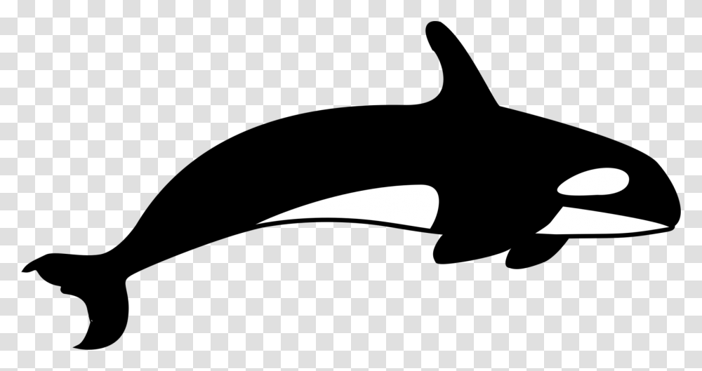 The Killer Whale Cetacea Blue Whale, Silhouette, Arrow, Cutlery Transparent Png