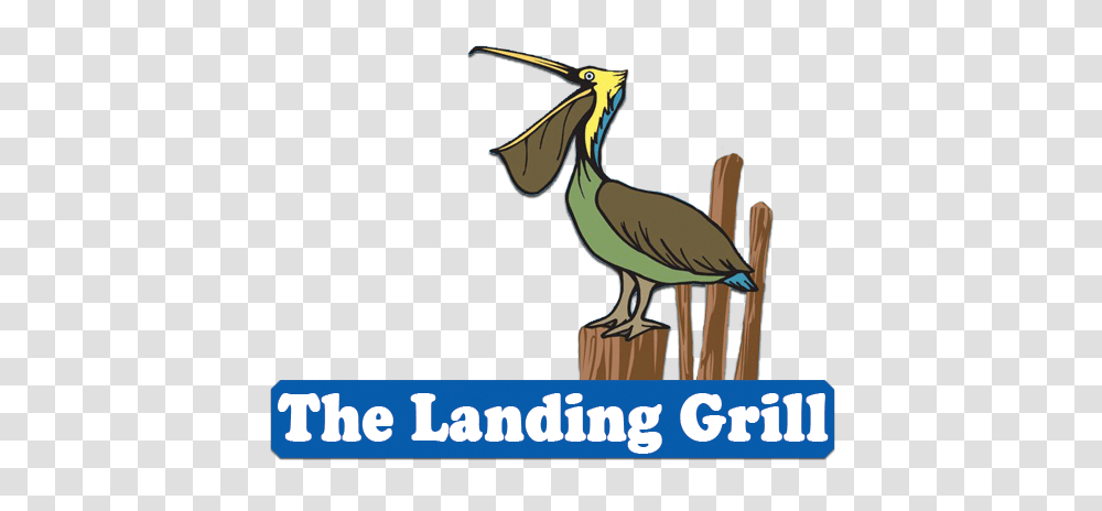 The Landing Grill Outer Banks Nc, Bird, Animal, Beak, Pelican Transparent Png