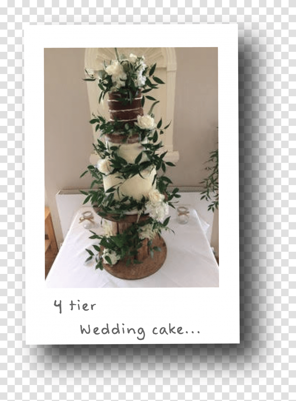 The Lavender Whisk Polaroid Garden Roses, Tree, Plant, Ornament, Christmas Tree Transparent Png