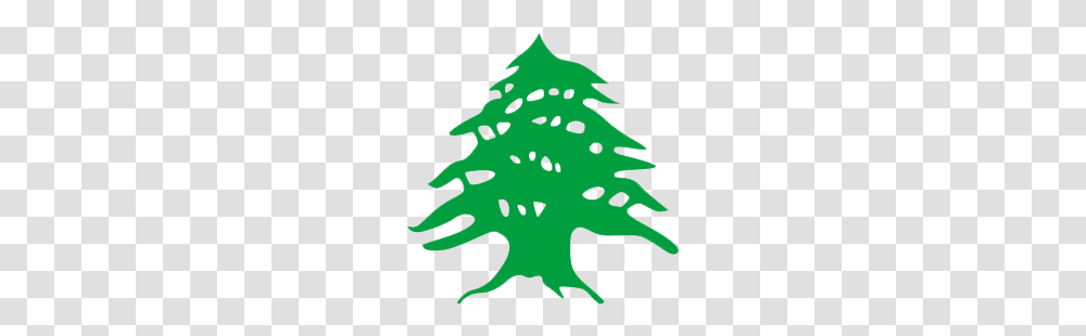 The Lebanese Cedar Is Very Iconic Beit Arabiya Logo, Tree, Plant, Leaf, Star Symbol Transparent Png