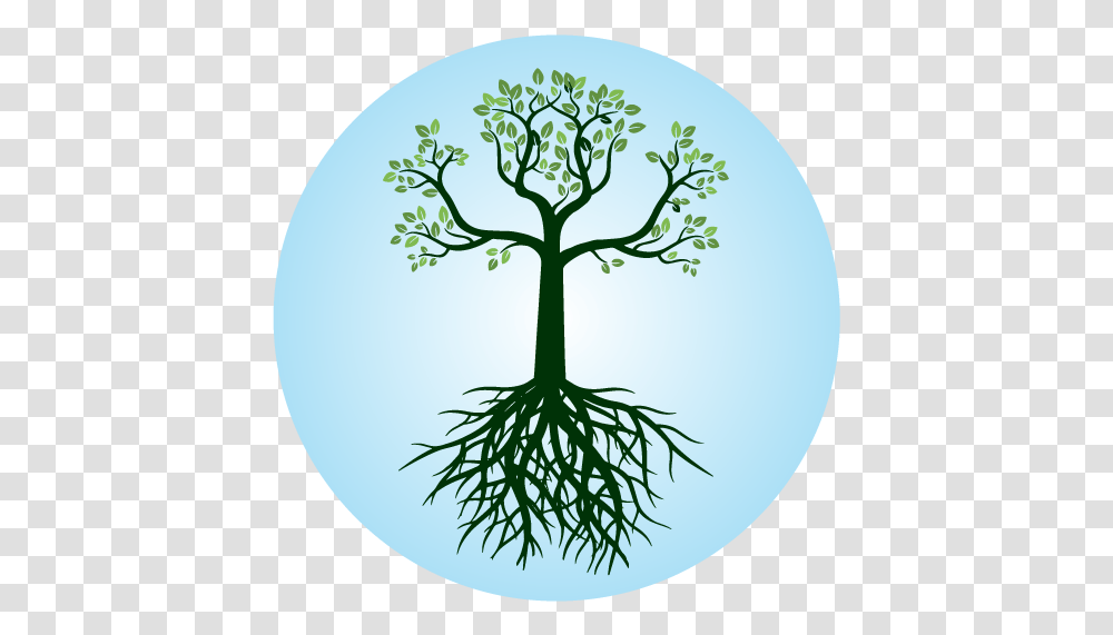 The Life Health Center Root, Plant, Lamp Transparent Png