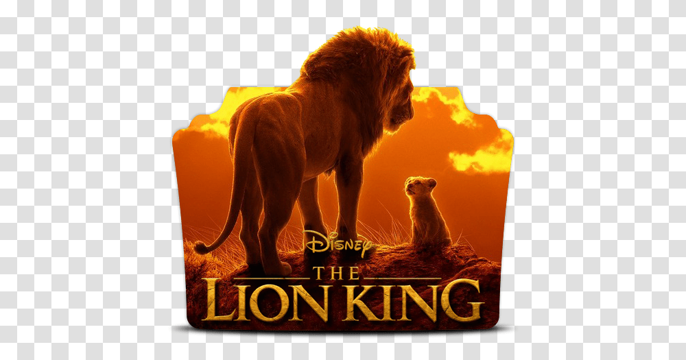 The Lion Lion King Background, Wildlife, Mammal, Animal, Bird Transparent Png