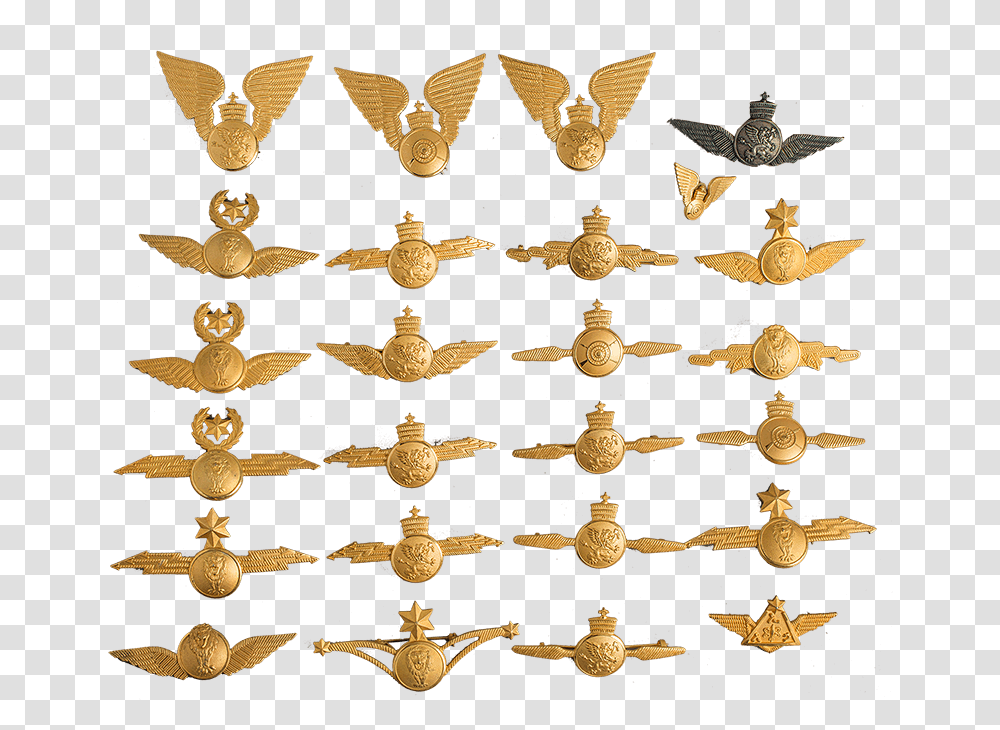 The Lion Of Judah Military Badge Wings With Lightning Bolt, Chandelier, Lamp, Gold, Bronze Transparent Png