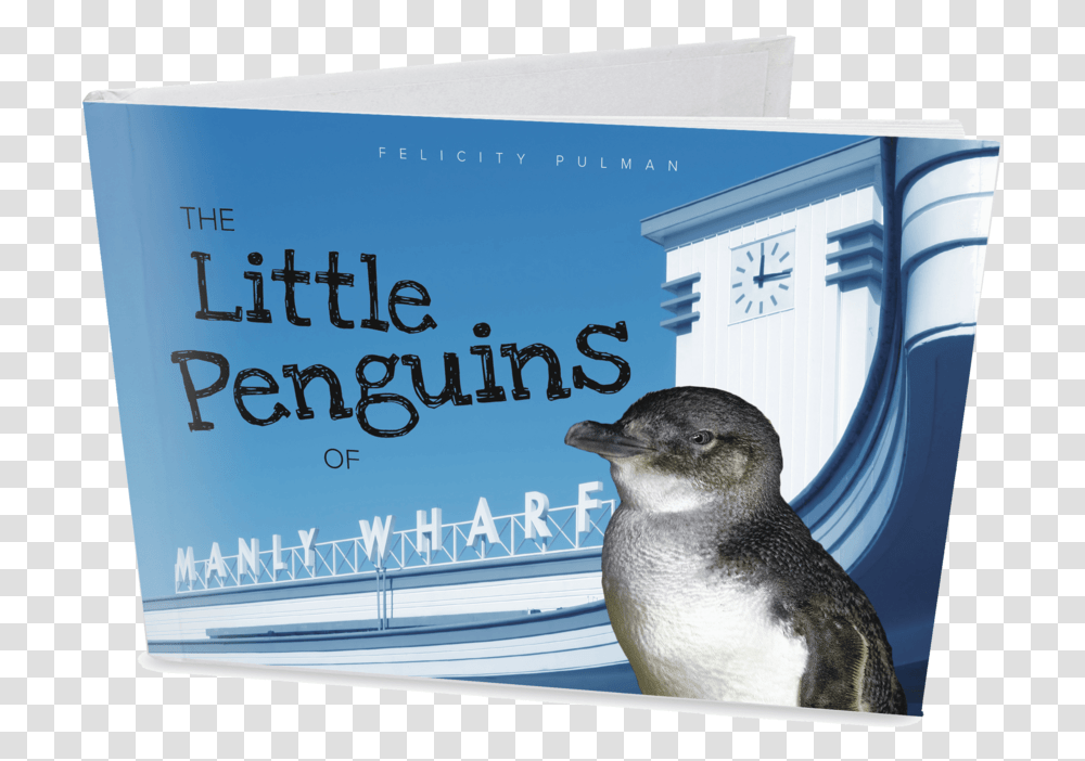 The Little Penguins Of Manly Little Market, Bird, Animal, King Penguin Transparent Png
