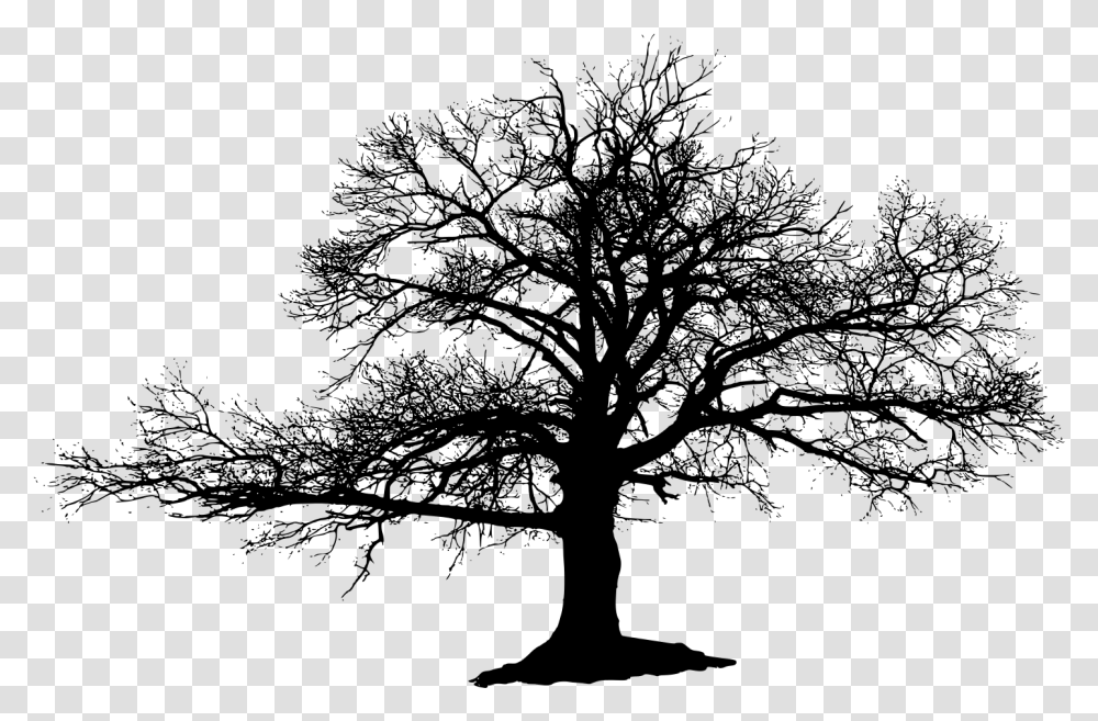 The Lonely Tree Silhouette Burned Tree Black And White, Gray, World Of Warcraft Transparent Png