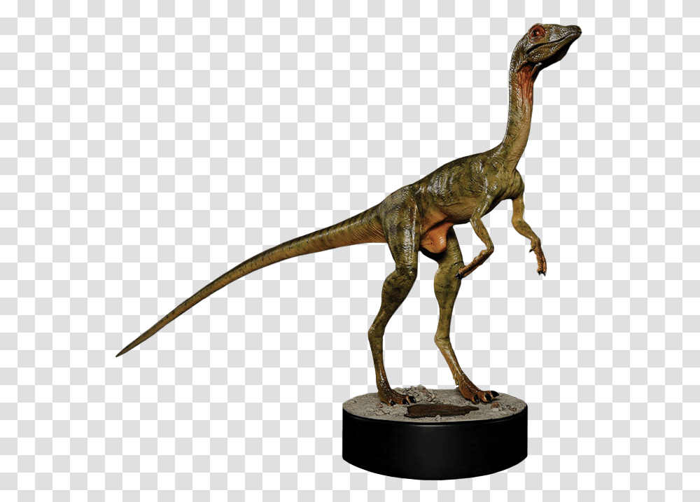 The Lost World Jurassic Park Compsognathus Scale Life Size, Dinosaur, Reptile, Animal, Lizard Transparent Png