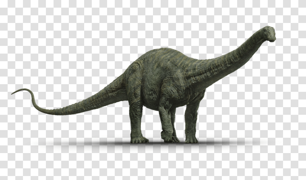 The Lost World Jurassic World, Dinosaur, Reptile, Animal, T-Rex Transparent Png