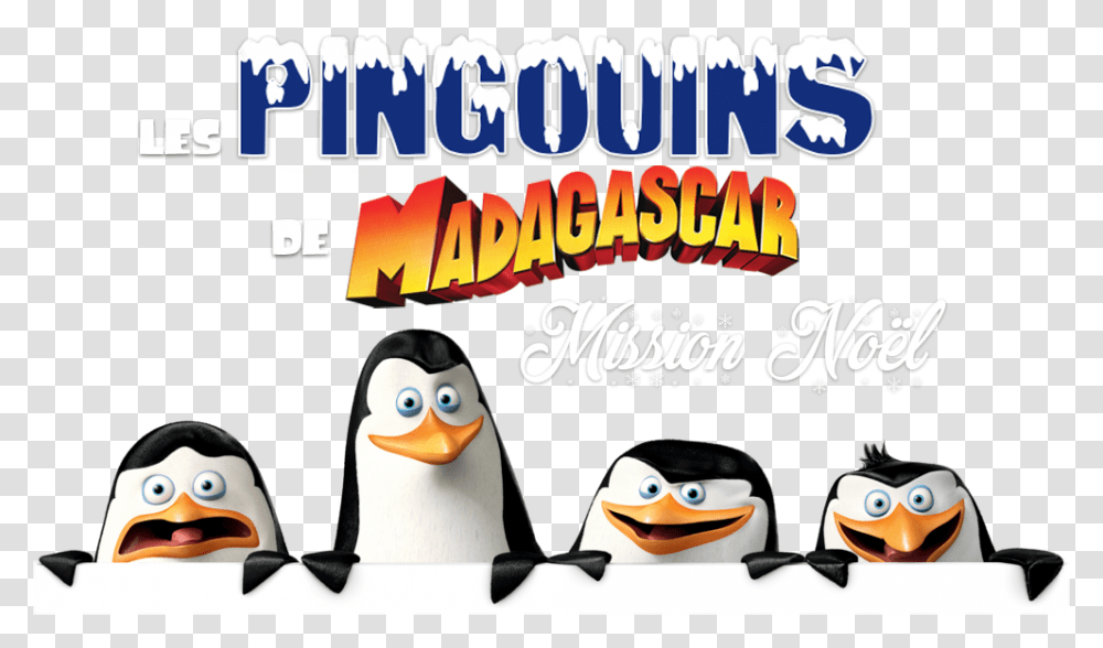 The Madagascar Penguins In A Christmas Caper Image Madagascar Penguins, Angry Birds, Animal Transparent Png