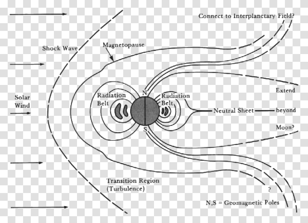 The Magnetosphere As Visualized In The M Van Allen Grtel, Animal, Invertebrate, Spider, Arachnid Transparent Png