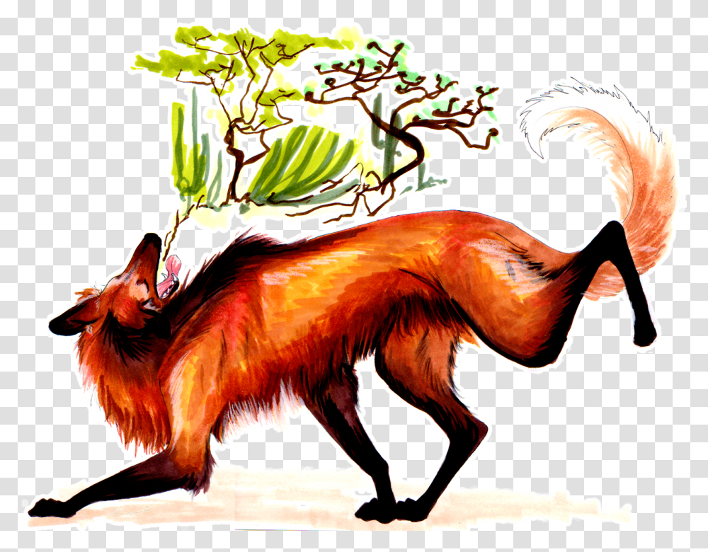 The Maned Wolf Is A Canid From South America That Lives, Animal, Wildlife, Mammal Transparent Png