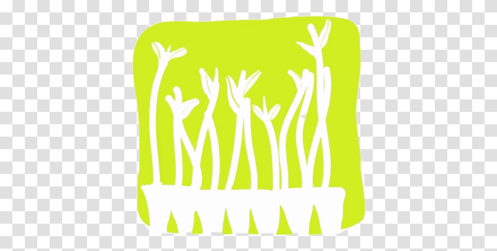 The Mangrove Project Projectmangrove Twitter Illustration, Plant, Hand, Word, Cushion Transparent Png
